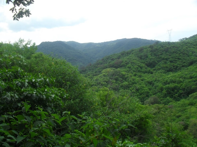 Paseos por la montaña